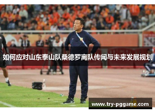 如何应对山东泰山队桑德罗离队传闻与未来发展规划 如何应对山东泰山队桑德罗离队传闻与未来发展规划