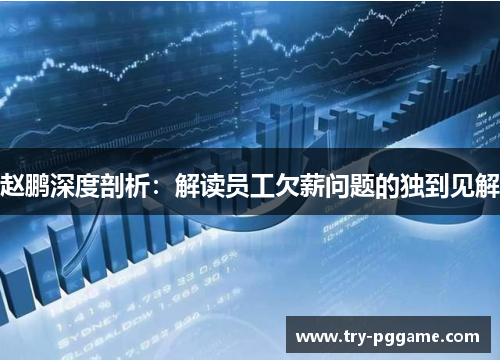 赵鹏深度剖析：解读员工欠薪问题的独到见解