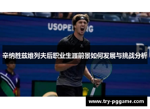 辛纳胜兹维列夫后职业生涯前景如何发展与挑战分析 辛纳胜兹维列夫后职业生涯前景如何发展与挑战分析