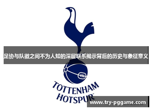 足协与队徽之间不为人知的深层联系揭示背后的历史与象征意义 足协与队徽之间不为人知的深层联系揭示背后的历史与象征意义