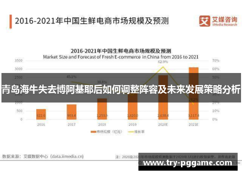 青岛海牛失去博阿基耶后如何调整阵容及未来发展策略分析 青岛海牛失去博阿基耶后如何调整阵容及未来发展策略分析