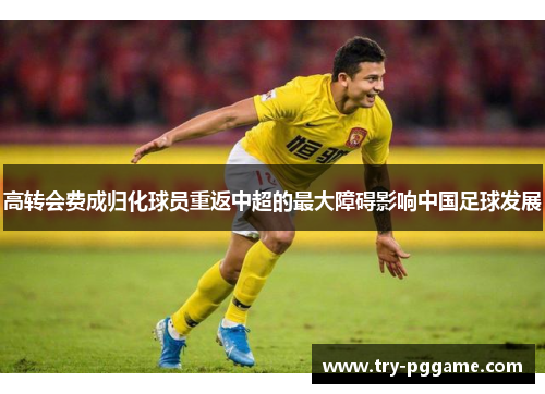 高转会费成归化球员重返中超的最大障碍影响中国足球发展