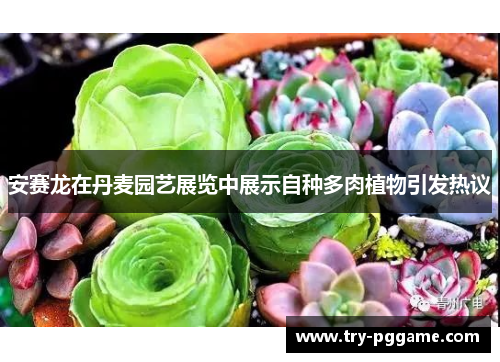 安赛龙在丹麦园艺展览中展示自种多肉植物引发热议